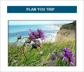 plan your trip in normandy